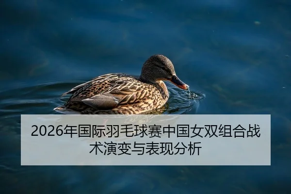 2026年国际羽毛球赛中国女双组合战术演变与表现分析