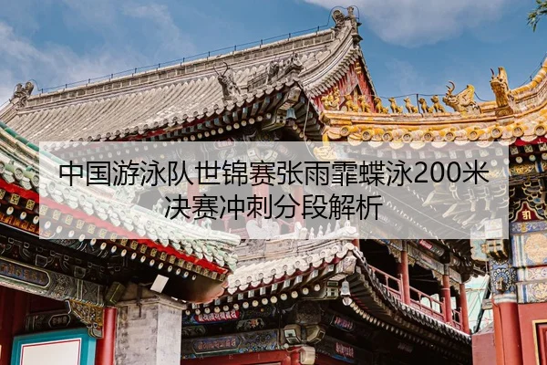 zhong-guo-you-yong-dui-shi-jin-sai-zhang-yu-fei-die-yong-mi-jue-sai-chong-ci-fen-duan-jie-xi-3-596.jpg