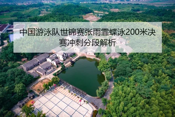 中国游泳队世锦赛张雨霏蝶泳200米决赛冲刺分段解析