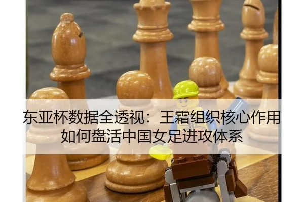 dong-ya-bei-shu-ju-quan-tou-shi-wang-shuang-zu-zhi-he-xin-zuo-yong-ru-he-pan-huo-zhong-guo-nv-zu-jin-gong-ti-xi-3-885.jpg