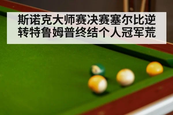 斯诺克大师赛决赛塞尔比逆转特鲁姆普终结个人冠军荒